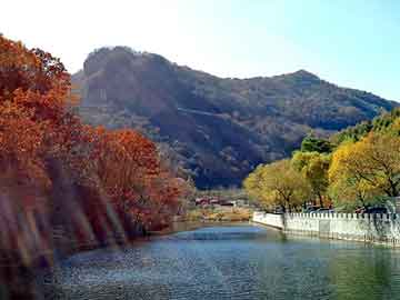 新澳天天开奖资料大全旅游团，异界之逆天神鼎